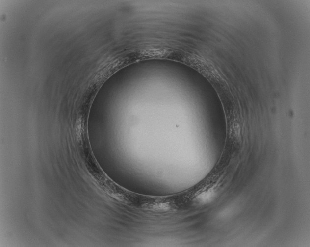 X0000076090647200610061642