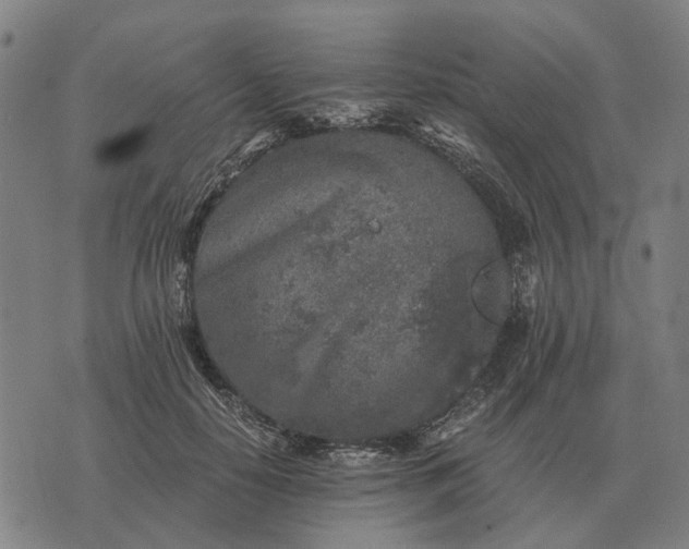 X0000076090650200610061642