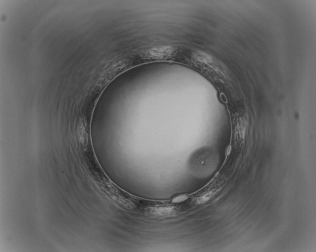 X0000076090651200610061642