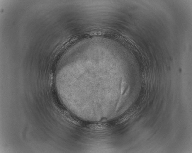 X0000076090652200610061642