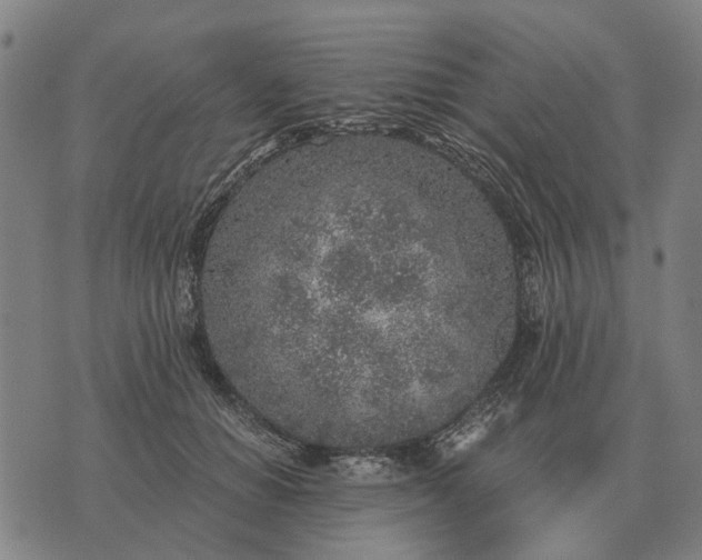 X0000076090654200610061642