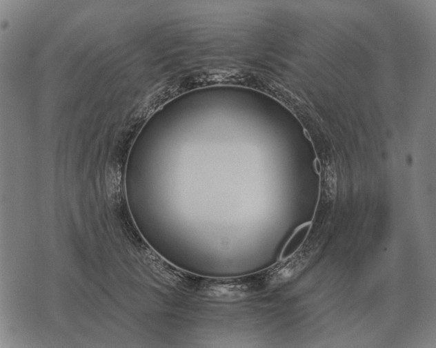 X0000076090657200610061642