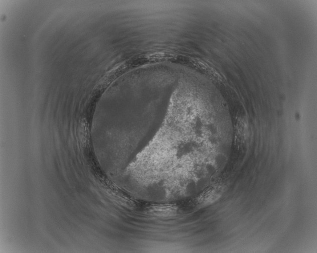 X0000076090659200610061642