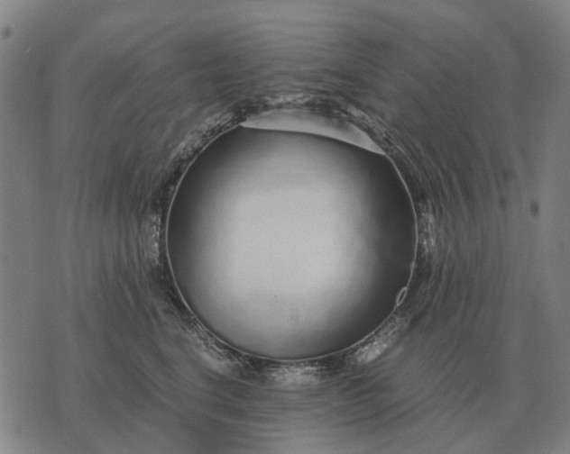 X0000076090664200610061642