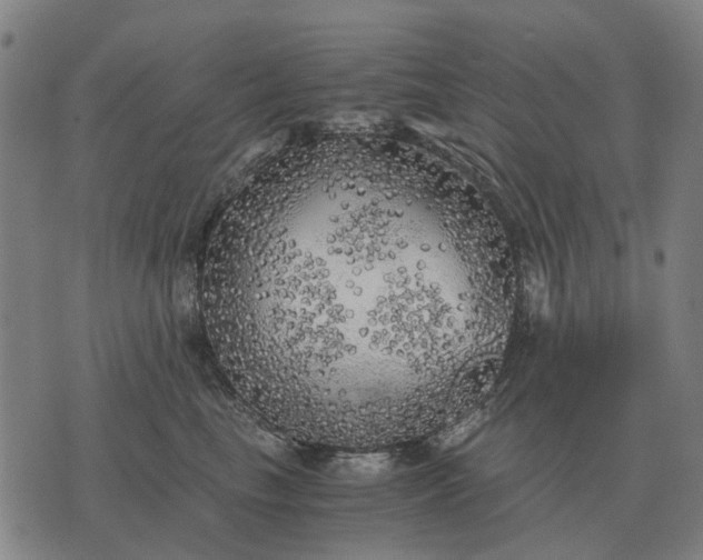 X0000076090665200610061642