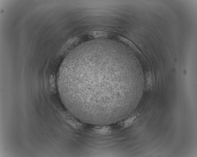 X0000076090667200610061642