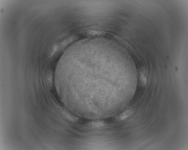 X0000076090668200610061642