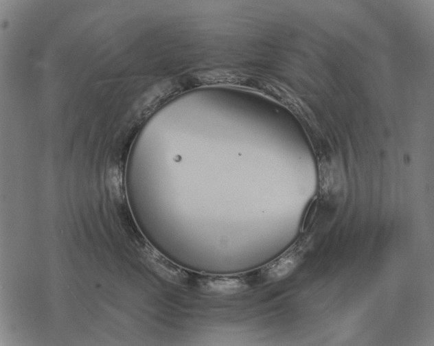 X0000076090669200610061642