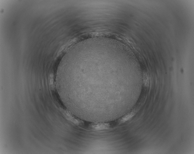 X0000076090670200610061642