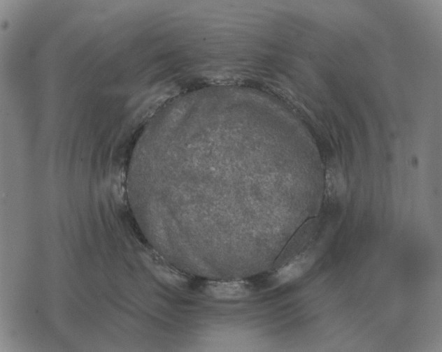 X0000076090671200610061642