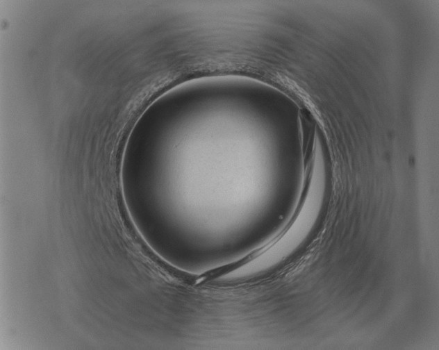 X0000076090673200610061642