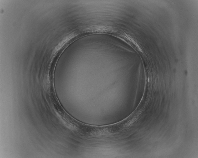 X0000076090674200610061642