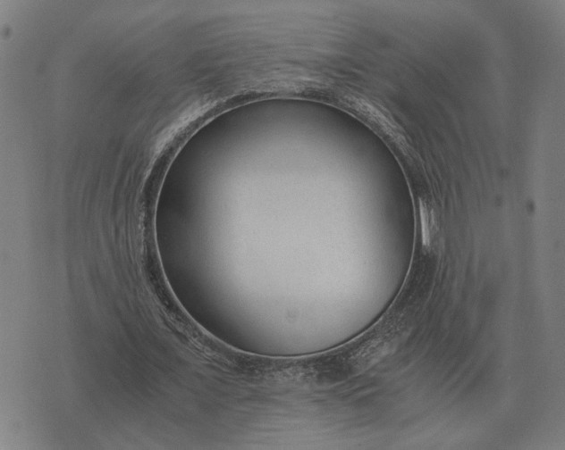 X0000076090675200610061642