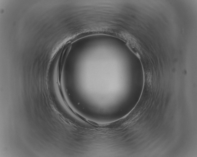 X0000076090676200610061642