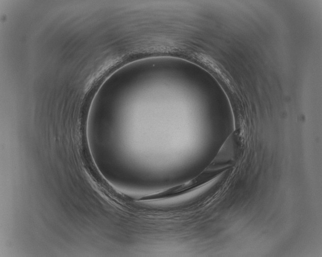 X0000076090677200610061642