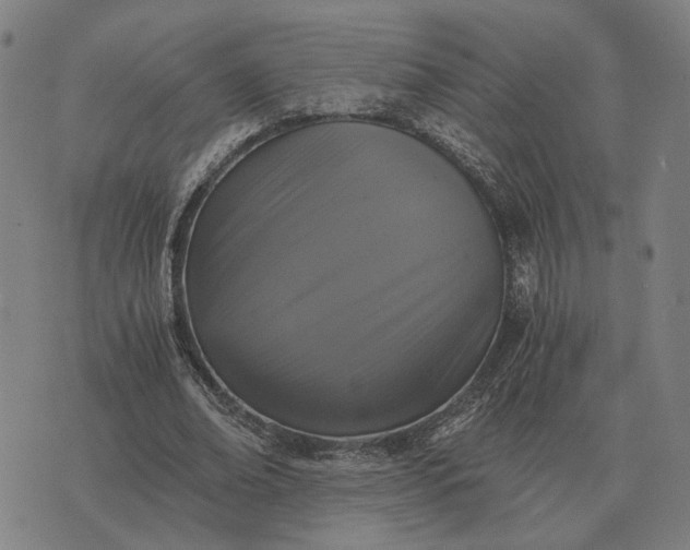 X0000076090678200610061642