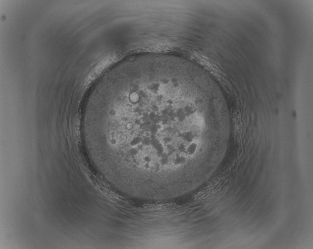 X0000076090679200610061642