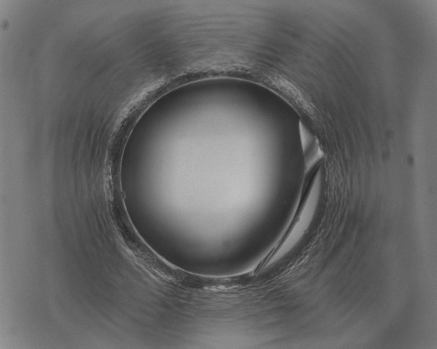 X0000076090680200610061642