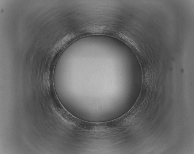 X0000076090682200610061642