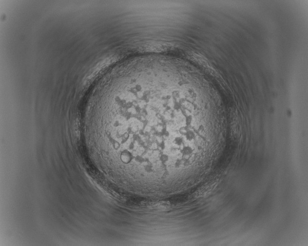 X0000076090683200610061642