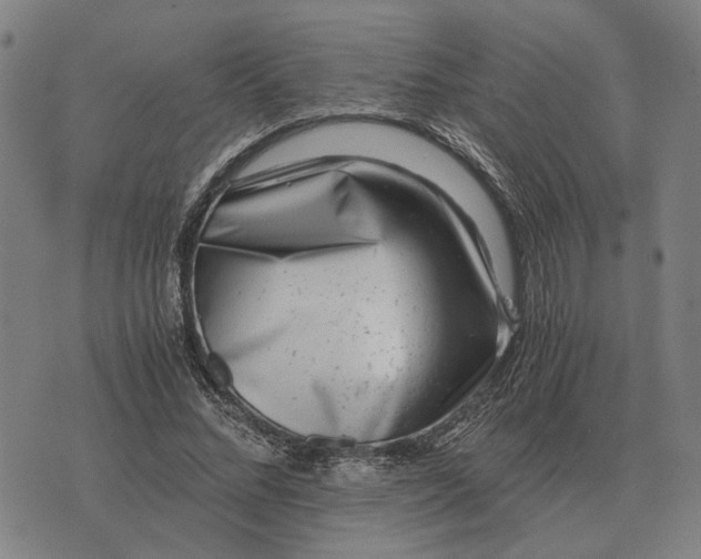 X0000076090684200610061642