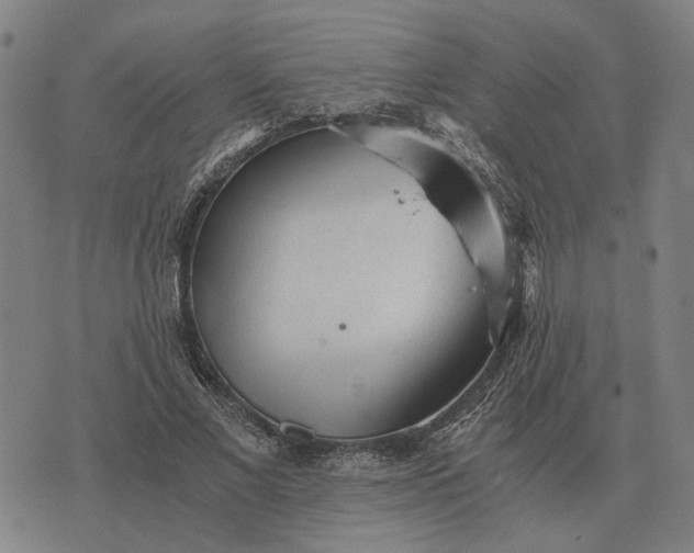 X0000076090685200610061641