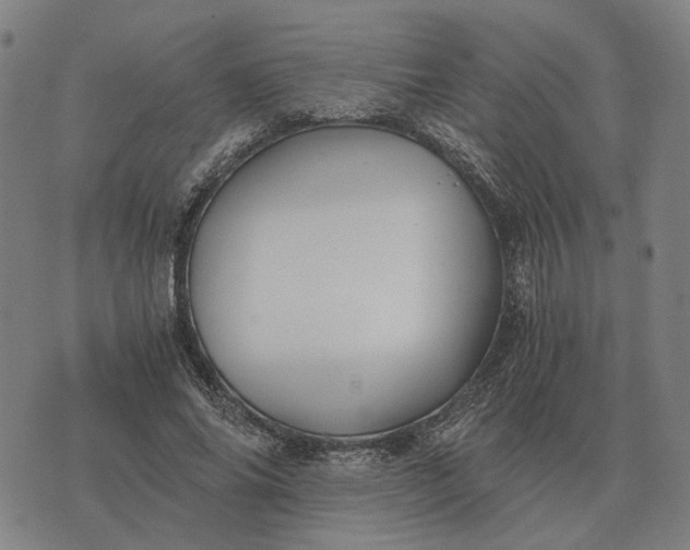 X0000076090686200610061641