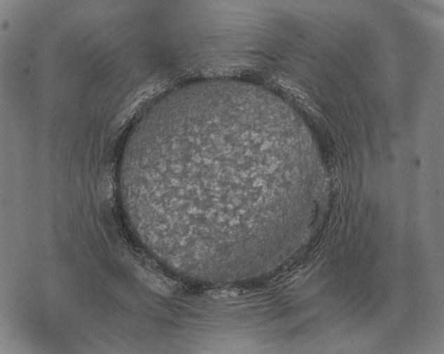 X0000076090687200610061641