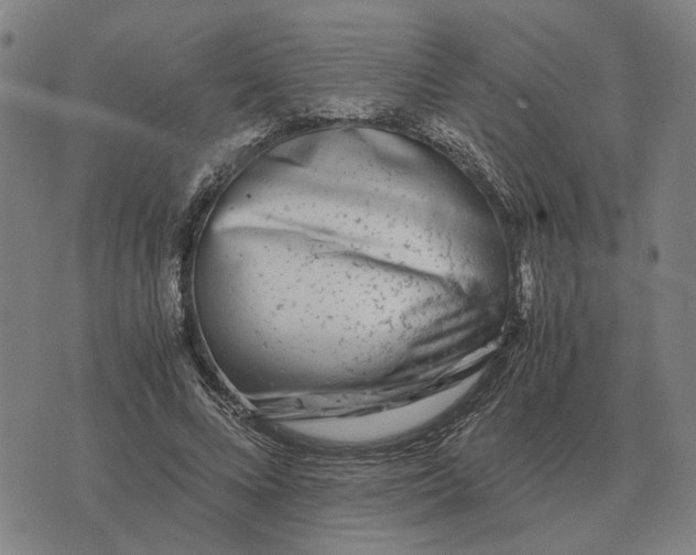 X0000076090688200610061641