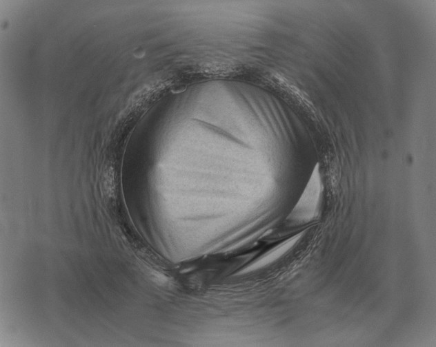 X0000076090689200610061641