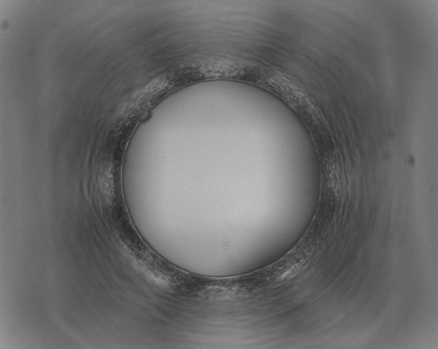 X0000076090690200610061641