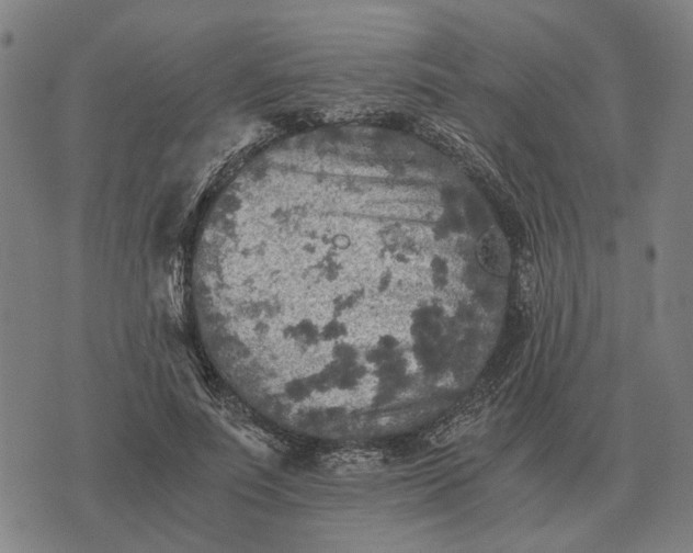 X0000076090691200610061641