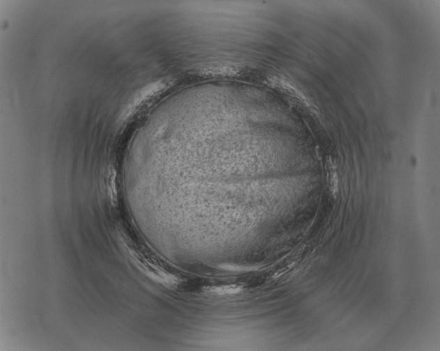 X0000076090692200610061641