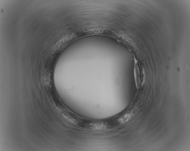 X0000076090693200610061641