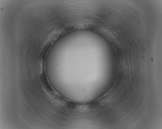 X0000076090694200610061641