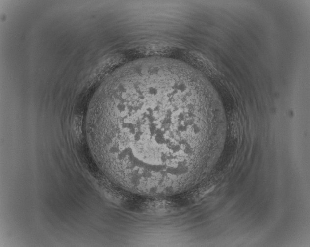 X0000076090695200610061641