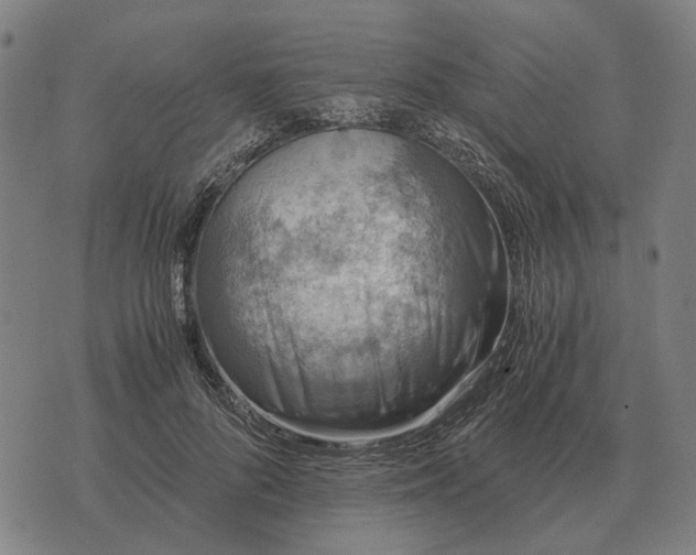 X0000076090696200610061641