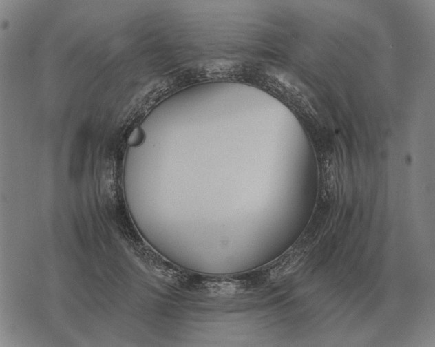 X0000076090698200610061641