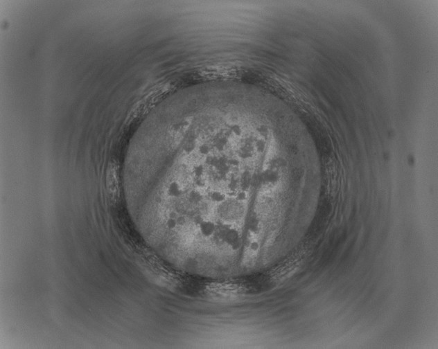 X0000076090699200610061641