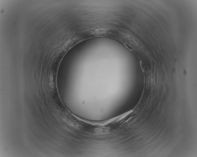 X0000076090700200610061641