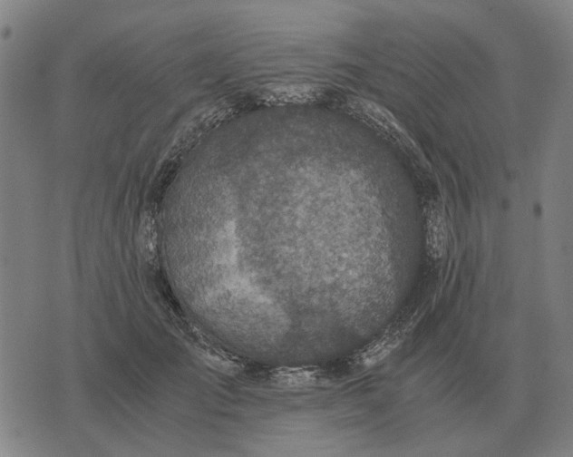 X0000076090701200610061641