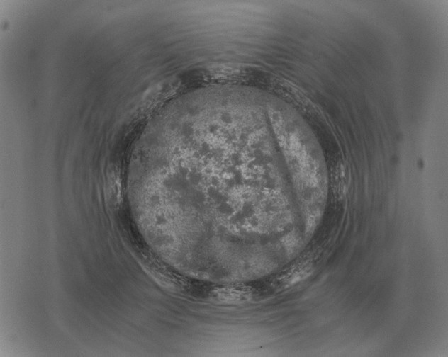 X0000076090703200610061641