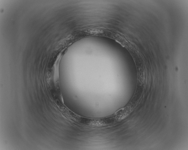 X0000076090704200610061641