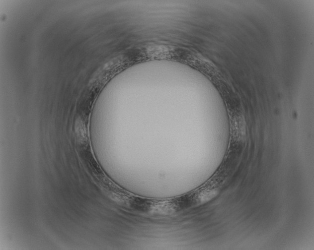 X0000076090705200610061641