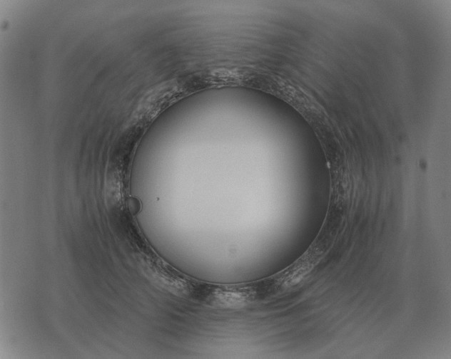 X0000076090706200610061641