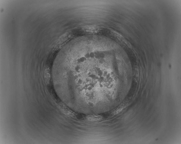 X0000076090707200610061641