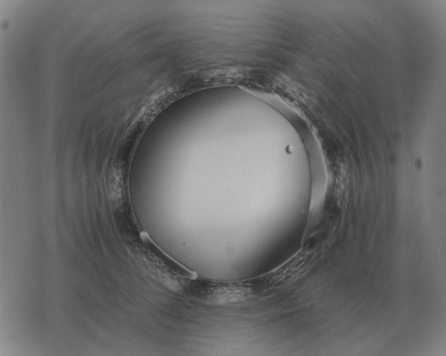 X0000076090708200610061641