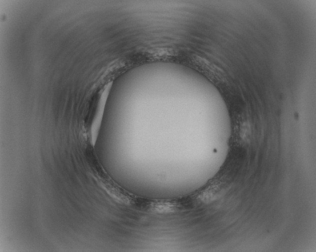 X0000076090710200610061641