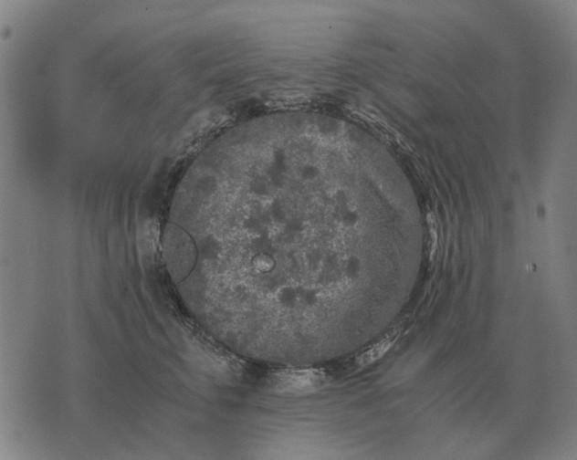 X0000076090711200610061641