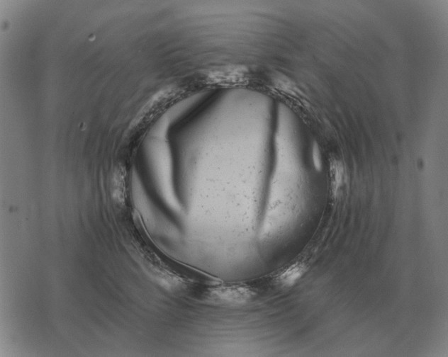 X0000076090712200610061641